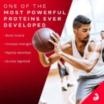 نيتروتك واي جولد